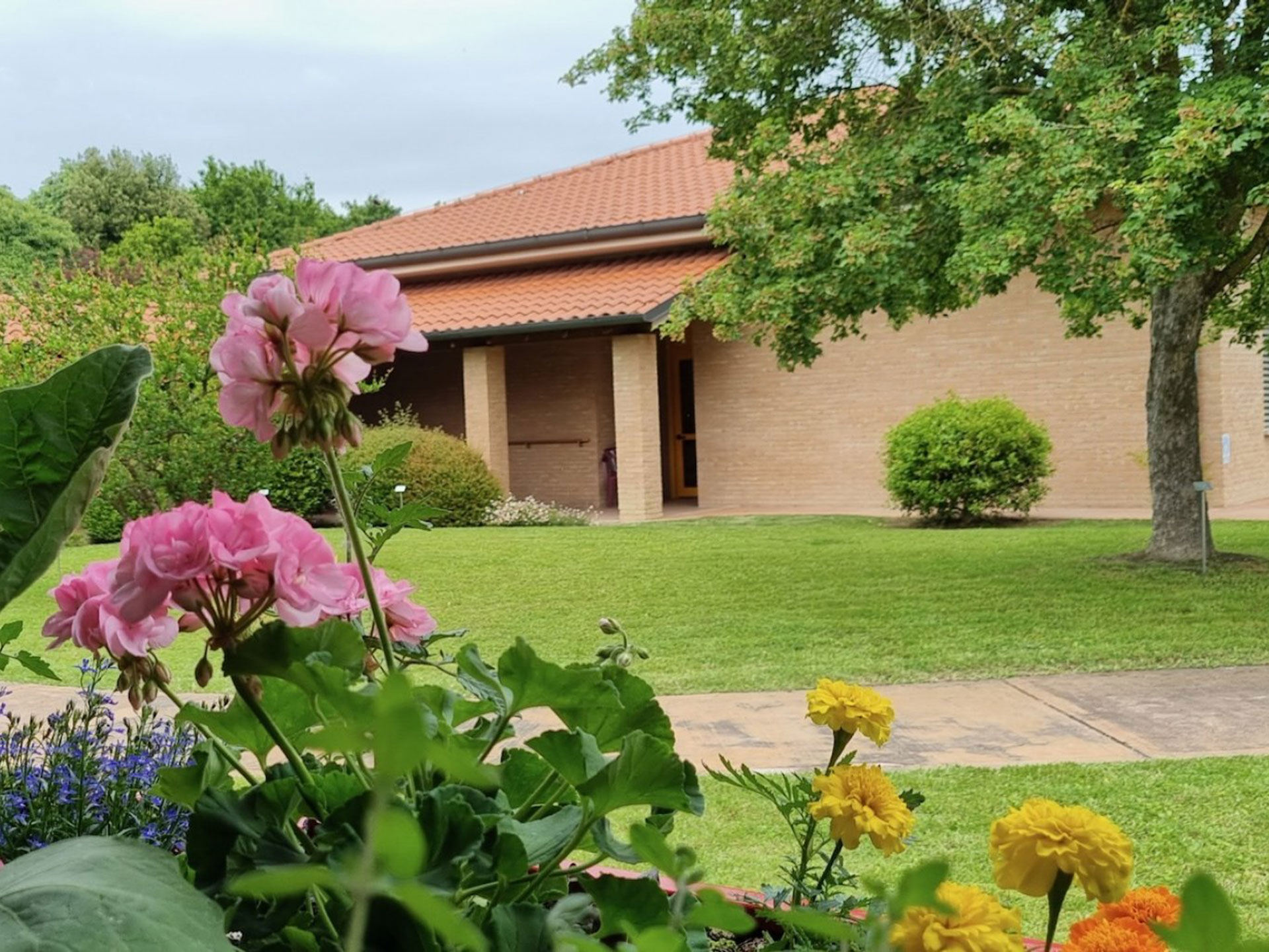 I giardini terapeutici dove si curano i malati di Alzheimer